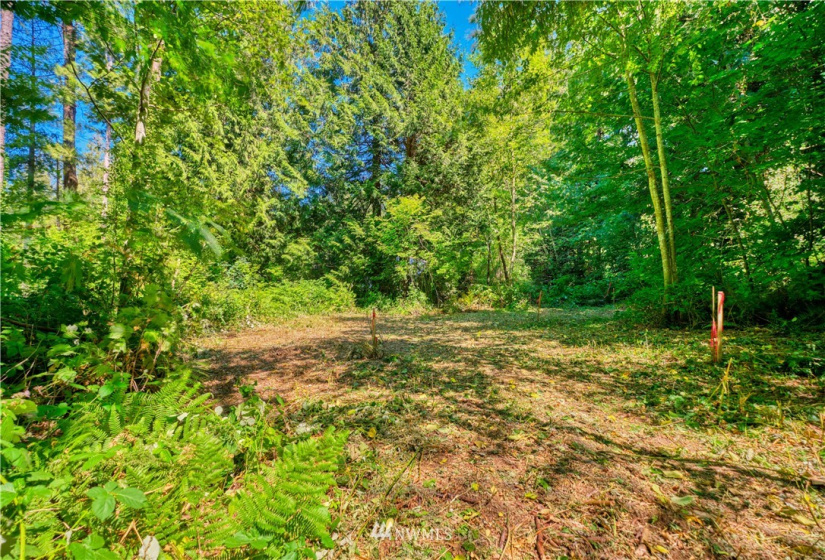 1885 Province, Point Roberts, Washington 98281, ,Land,For Sale,Ridgeview Estates Short Plat,Province,NWM1883859