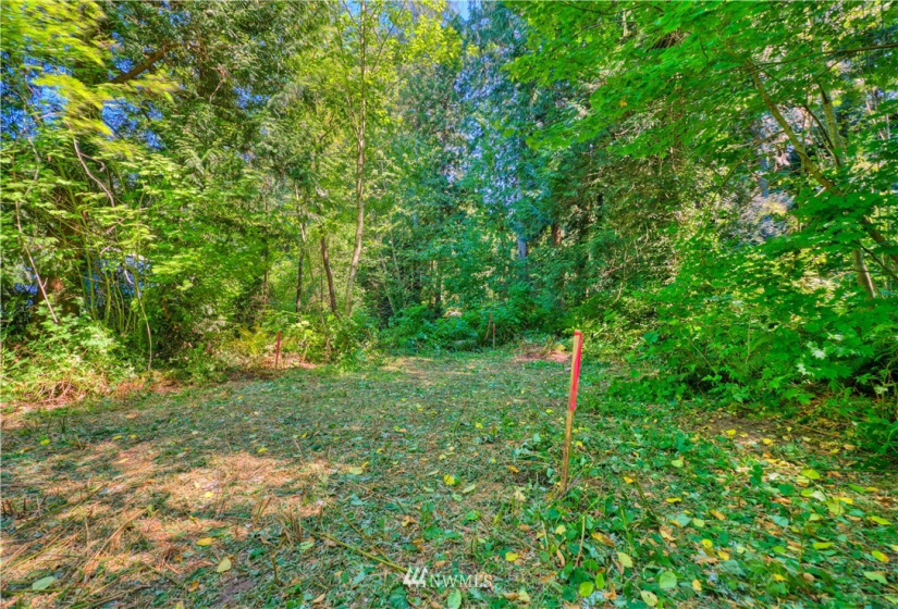 1885 Province, Point Roberts, Washington 98281, ,Land,For Sale,Ridgeview Estates Short Plat,Province,NWM1883859