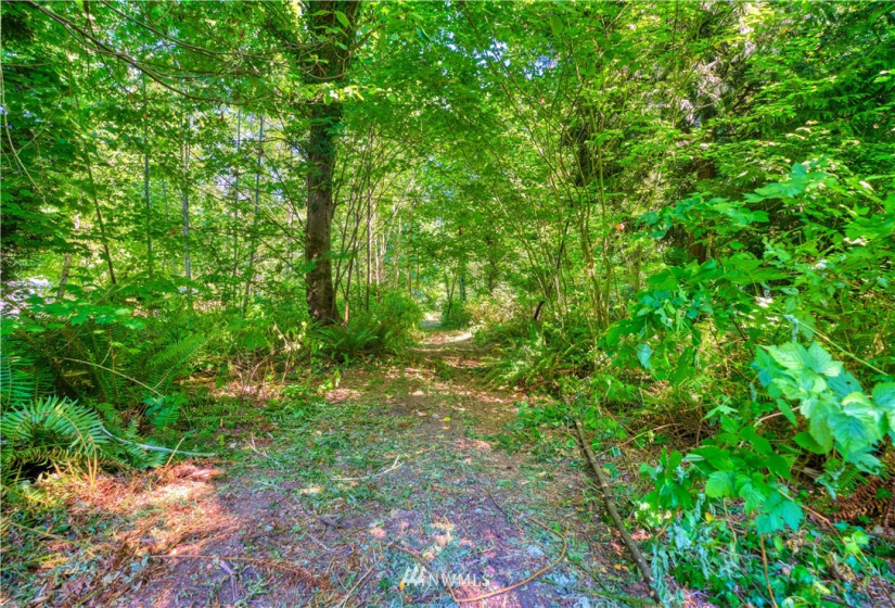 1885 Province, Point Roberts, Washington 98281, ,Land,For Sale,Ridgeview Estates Short Plat,Province,NWM1883859