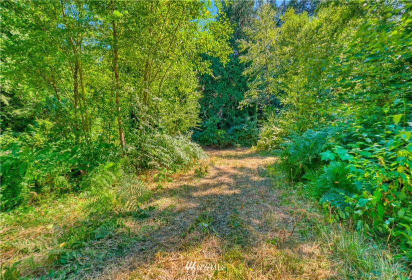 1885 Province, Point Roberts, Washington 98281, ,Land,For Sale,Ridgeview Estates Short Plat,Province,NWM1883859