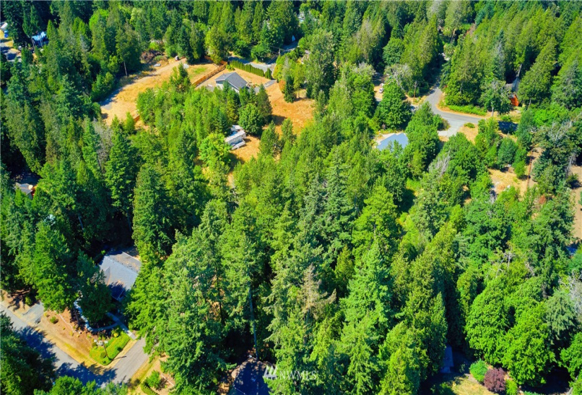 1885 Province, Point Roberts, Washington 98281, ,Land,For Sale,Ridgeview Estates Short Plat,Province,NWM1883859