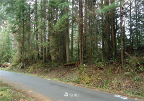 7 Little Palomino, Bellingham, Washington 98229, ,Land,For Sale,Sudden Valley,Little Palomino,NWM1884319