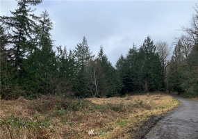 4621 Dabob, Quilcene, Washington 98376, ,Land,For Sale,Dabob,NWM1883939