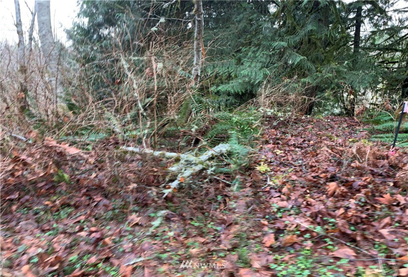 4621 Dabob, Quilcene, Washington 98376, ,Land,For Sale,Dabob,NWM1883939