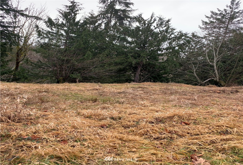 4621 Dabob, Quilcene, Washington 98376, ,Land,For Sale,Dabob,NWM1883939