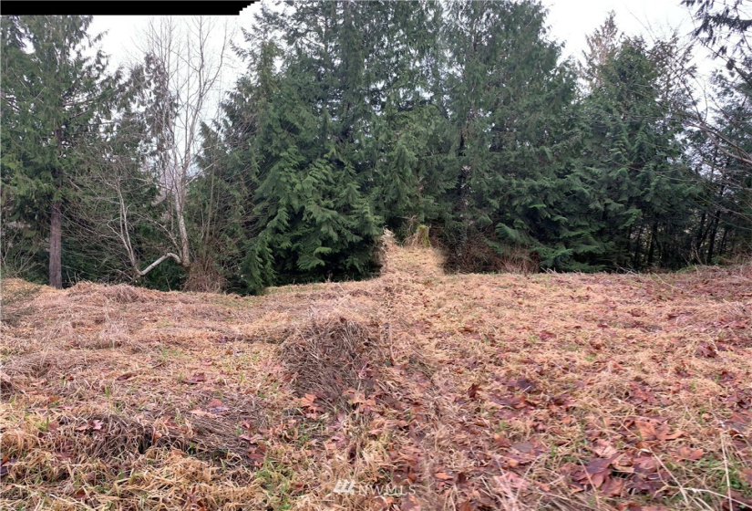 4621 Dabob, Quilcene, Washington 98376, ,Land,For Sale,Dabob,NWM1883939
