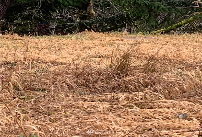 4621 Dabob, Quilcene, Washington 98376, ,Land,For Sale,Dabob,NWM1883939