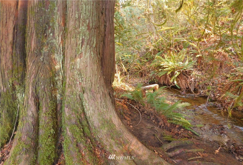 298 Libby, Shelton, Washington 98584, ,Land,For Sale,Libby,NWM1884193