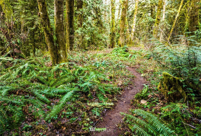 298 Libby, Shelton, Washington 98584, ,Land,For Sale,Libby,NWM1884193