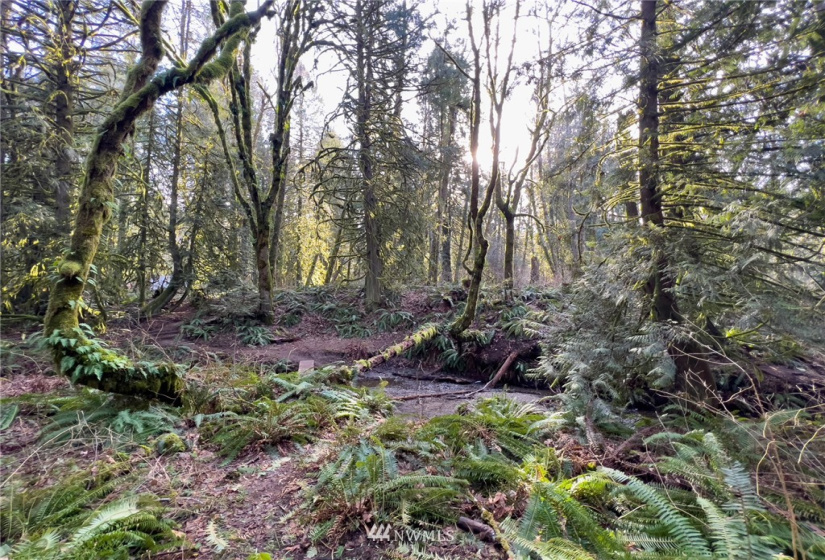 298 Libby, Shelton, Washington 98584, ,Land,For Sale,Libby,NWM1884193