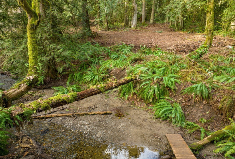 298 Libby, Shelton, Washington 98584, ,Land,For Sale,Libby,NWM1884193