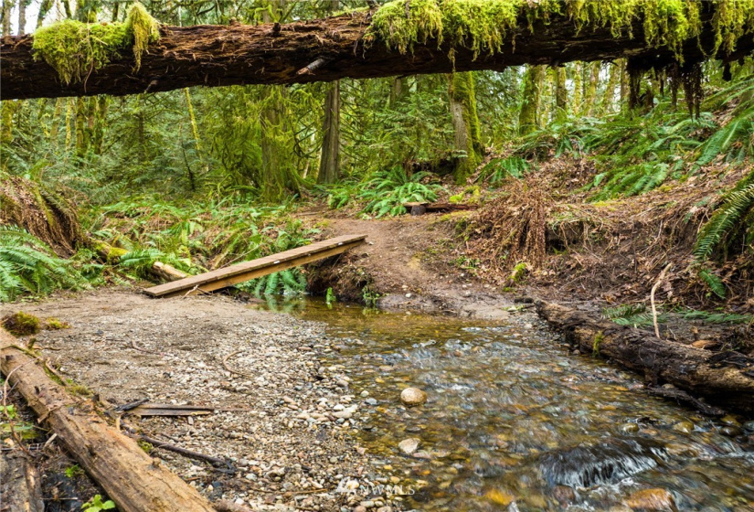 298 Libby, Shelton, Washington 98584, ,Land,For Sale,Libby,NWM1884193