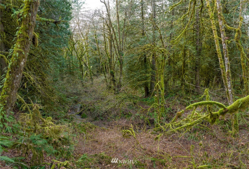 298 Libby, Shelton, Washington 98584, ,Land,For Sale,Libby,NWM1884193