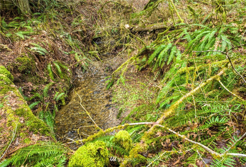 298 Libby, Shelton, Washington 98584, ,Land,For Sale,Libby,NWM1884193