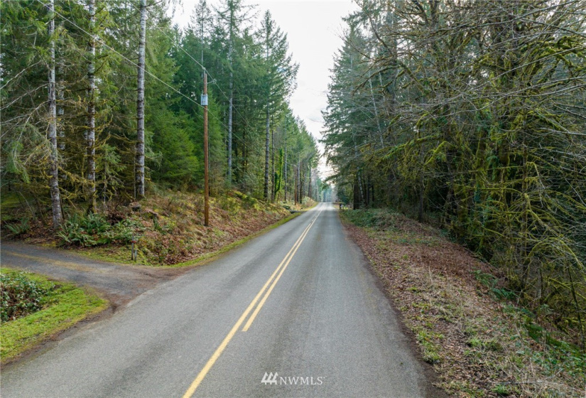 298 Libby, Shelton, Washington 98584, ,Land,For Sale,Libby,NWM1884193