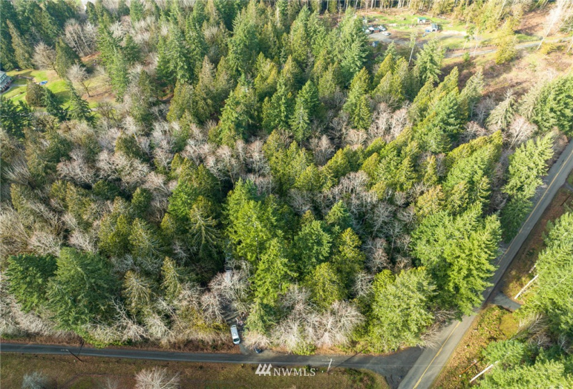 298 Libby, Shelton, Washington 98584, ,Land,For Sale,Libby,NWM1884193