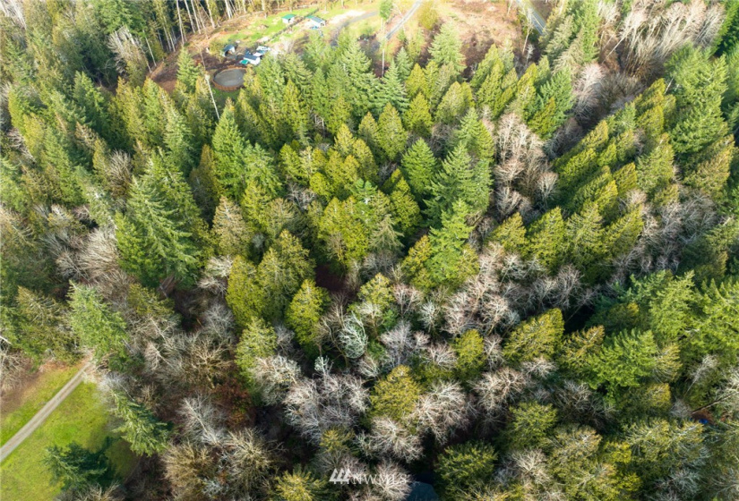 298 Libby, Shelton, Washington 98584, ,Land,For Sale,Libby,NWM1884193