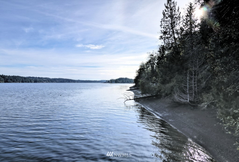 0 TR11 Govt Lot 4 Vineyard Lane, Shelton, Washington 98588, ,Land,For Sale,TR11 Govt Lot 4 Vineyard Lane,NWM1863457