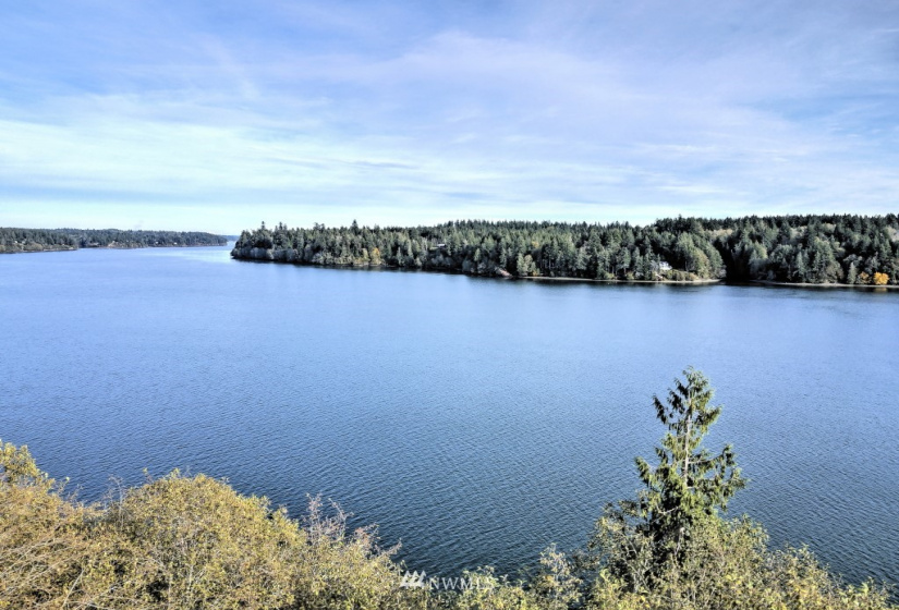0 TR11 Govt Lot 4 Vineyard Lane, Shelton, Washington 98588, ,Land,For Sale,TR11 Govt Lot 4 Vineyard Lane,NWM1863457