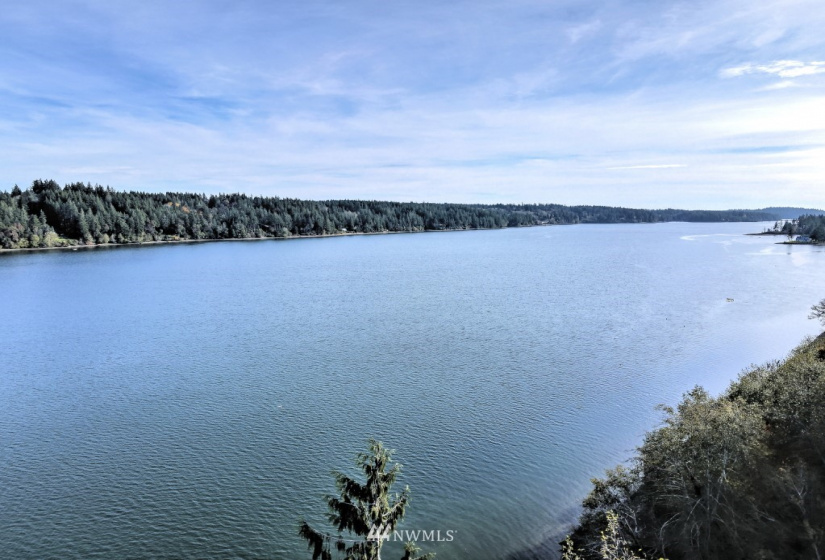 0 TR11 Govt Lot 4 Vineyard Lane, Shelton, Washington 98588, ,Land,For Sale,TR11 Govt Lot 4 Vineyard Lane,NWM1863457