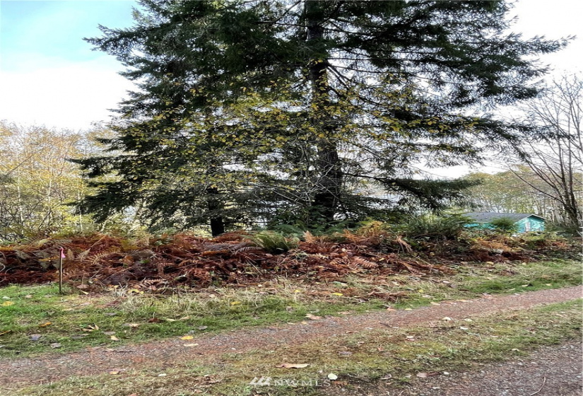 0 TR11 Govt Lot 4 Vineyard Lane, Shelton, Washington 98588, ,Land,For Sale,TR11 Govt Lot 4 Vineyard Lane,NWM1863457