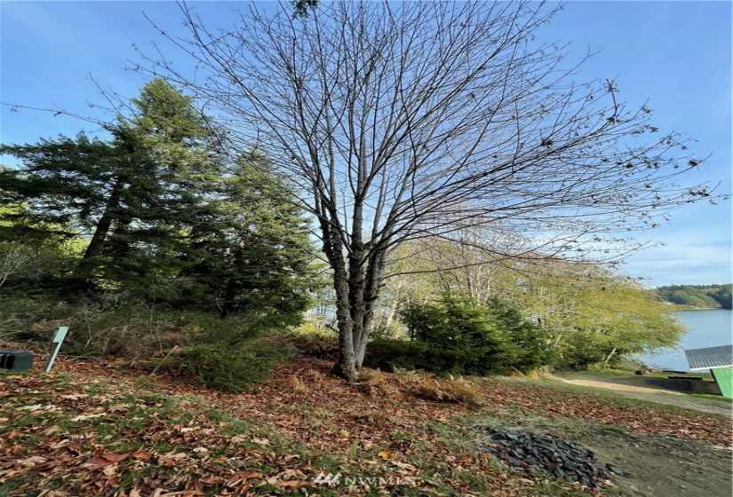 0 TR11 Govt Lot 4 Vineyard Lane, Shelton, Washington 98588, ,Land,For Sale,TR11 Govt Lot 4 Vineyard Lane,NWM1863457