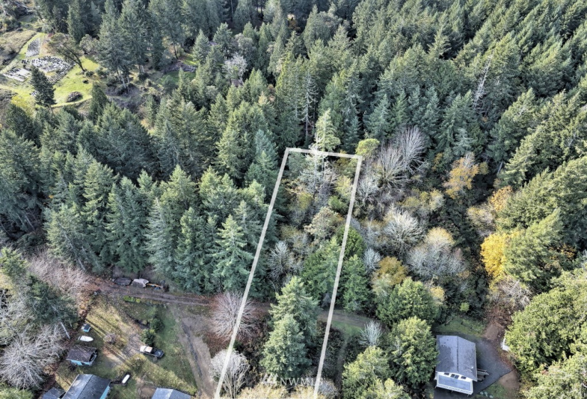 0 TR11 Govt Lot 4 Vineyard Lane, Shelton, Washington 98588, ,Land,For Sale,TR11 Govt Lot 4 Vineyard Lane,NWM1863457