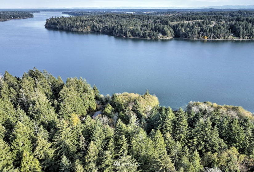 0 TR11 Govt Lot 4 Vineyard Lane, Shelton, Washington 98588, ,Land,For Sale,TR11 Govt Lot 4 Vineyard Lane,NWM1863457
