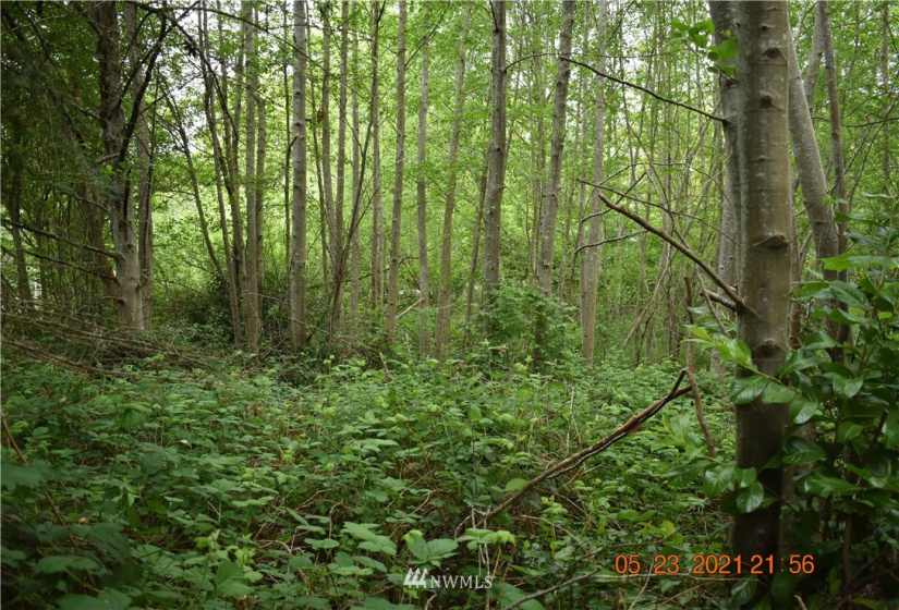 0 NE Sylvan Way, Bremerton, Washington 98310, ,Land,For Sale,NE Sylvan Way,NWM1884363