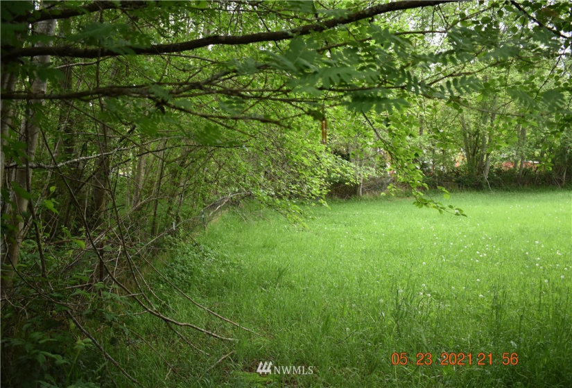 0 NE Sylvan Way, Bremerton, Washington 98310, ,Land,For Sale,NE Sylvan Way,NWM1884363