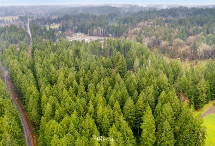 0 133rd, Gig Harbor, Washington 98329, ,Land,For Sale,133rd,NWM1876534