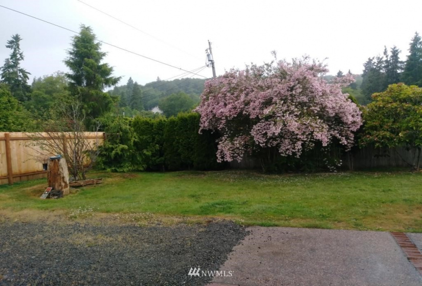 51 Cedar, Port Ludlow, Washington 98365, 2 Bedrooms Bedrooms, ,1 BathroomBathrooms,Residential,For Sale,Cedar,NWM1884252