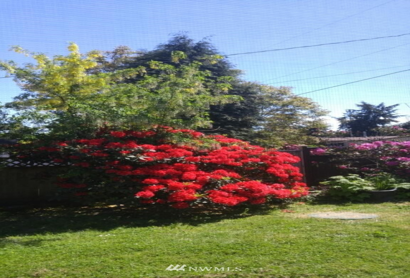 51 Cedar, Port Ludlow, Washington 98365, 2 Bedrooms Bedrooms, ,1 BathroomBathrooms,Residential,For Sale,Cedar,NWM1884252