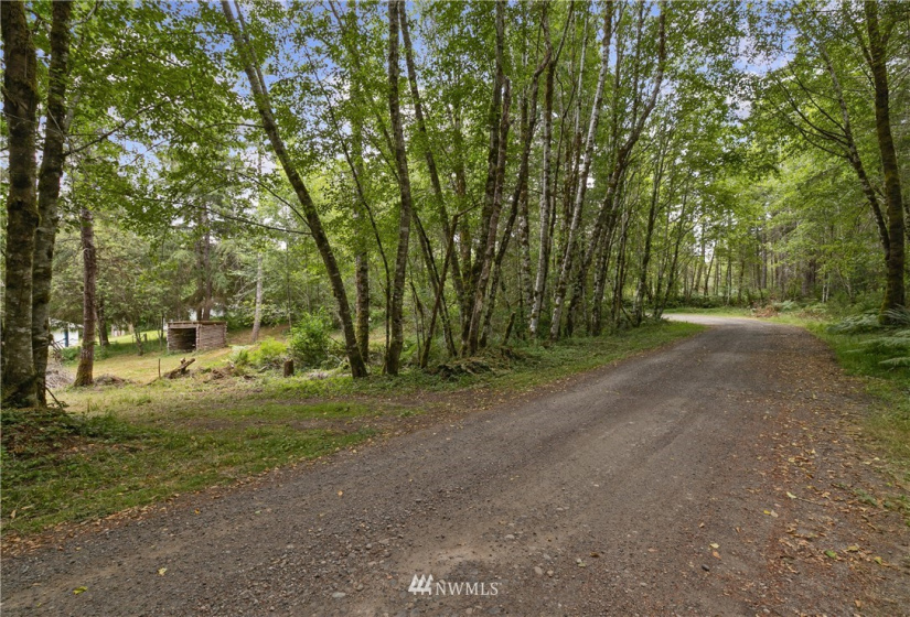 560 Probert, Shelton, Washington 98584, ,Land,For Sale,Probert,NWM1884003
