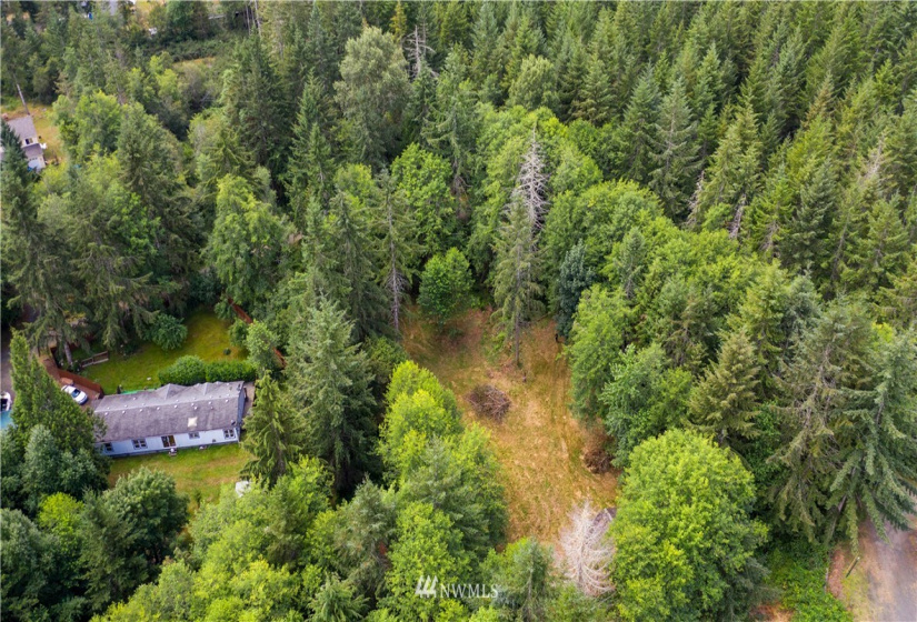 560 Probert, Shelton, Washington 98584, ,Land,For Sale,Probert,NWM1884003