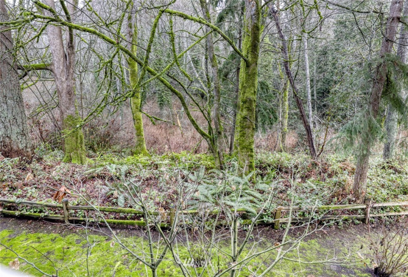 300 High school, Bainbridge Island, Washington 98110, 1 Bedroom Bedrooms, ,1 BathroomBathrooms,Residential,For Sale,Island Crossings,High school,NWM1883441