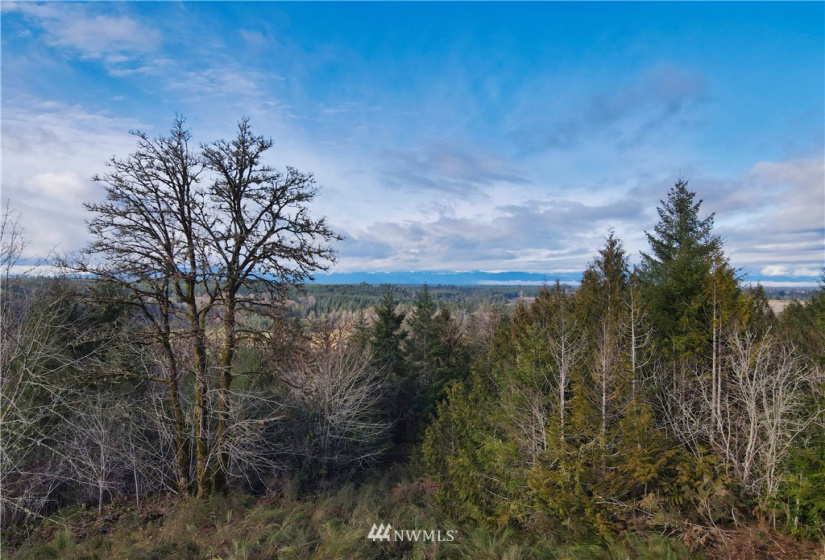 0 TR 26 Wynwood, Shelton, Washington 98584, ,Land,For Sale,Wynwood,NWM1884545