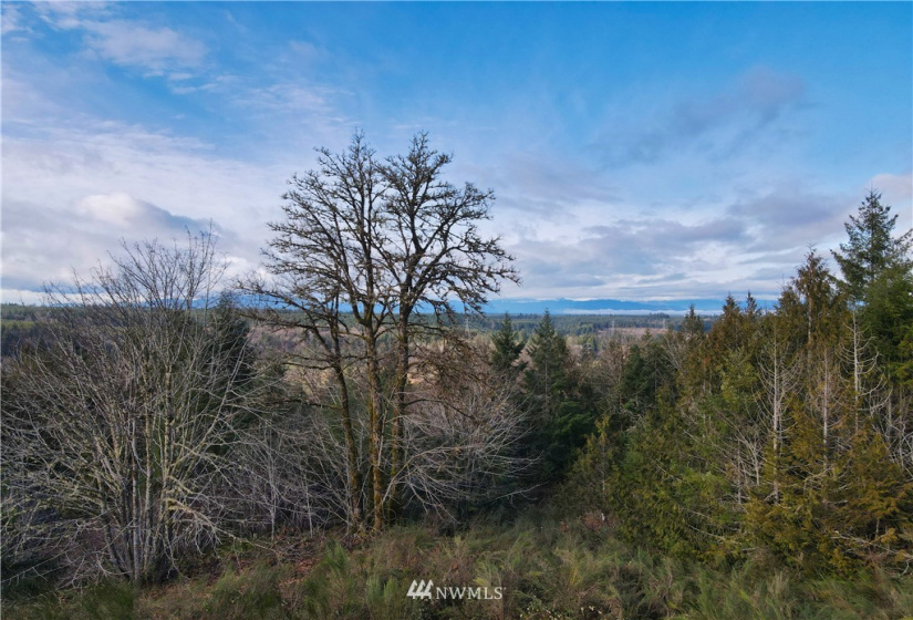 0 TR 26 Wynwood, Shelton, Washington 98584, ,Land,For Sale,Wynwood,NWM1884545