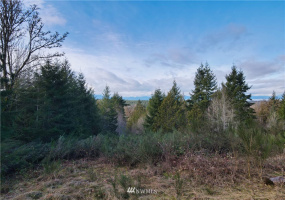 0 TR 25 Wynwood, Shelton, Washington 98584, ,Land,For Sale,Wynwood,NWM1884546
