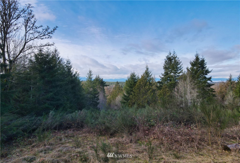 0 TR 25 Wynwood, Shelton, Washington 98584, ,Land,For Sale,Wynwood,NWM1884546