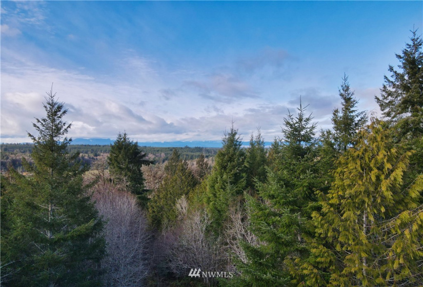 0 TR 25 Wynwood, Shelton, Washington 98584, ,Land,For Sale,Wynwood,NWM1884546