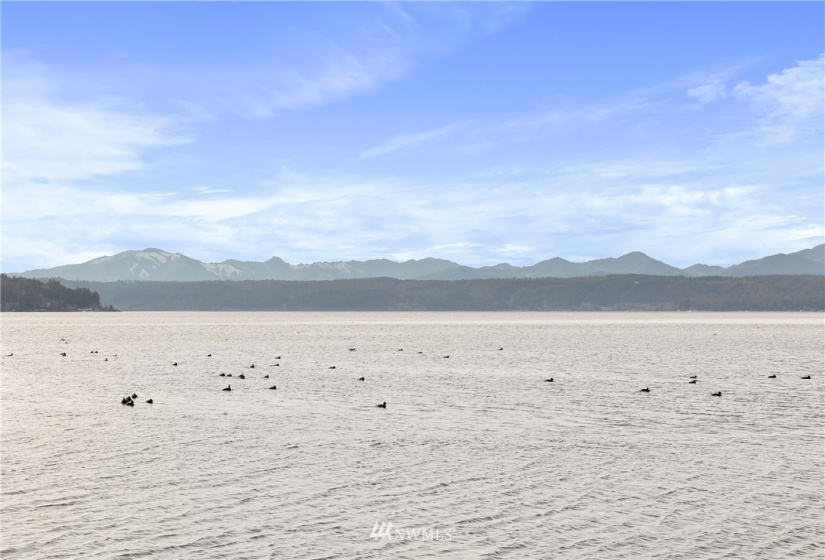 280 Tahuya, Tahuya, Washington 98588, 2 Bedrooms Bedrooms, ,1 BathroomBathrooms,Residential,For Sale,Maggie Lake Add#1,Tahuya,NWM1884442