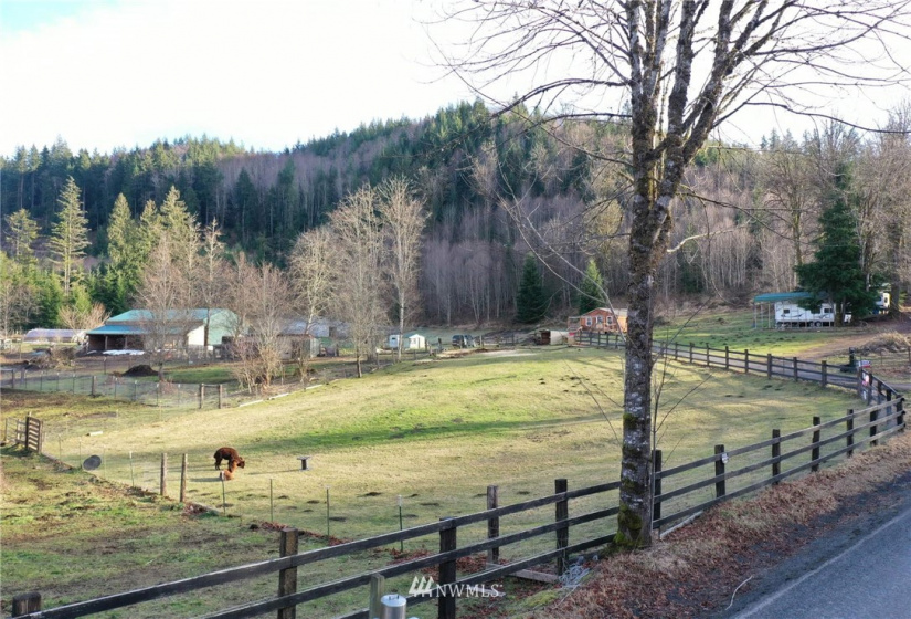 133 Peterman Hill, Morton, Washington 98356, 4 Bedrooms Bedrooms, ,2 BathroomsBathrooms,Residential,For Sale,Peterman Hill,NWM1884579