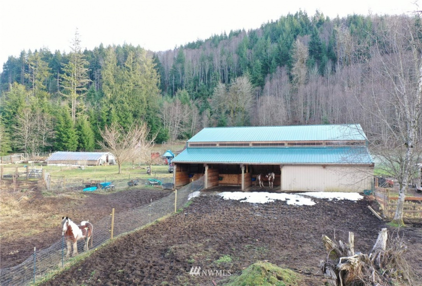 133 Peterman Hill, Morton, Washington 98356, 4 Bedrooms Bedrooms, ,2 BathroomsBathrooms,Residential,For Sale,Peterman Hill,NWM1884579