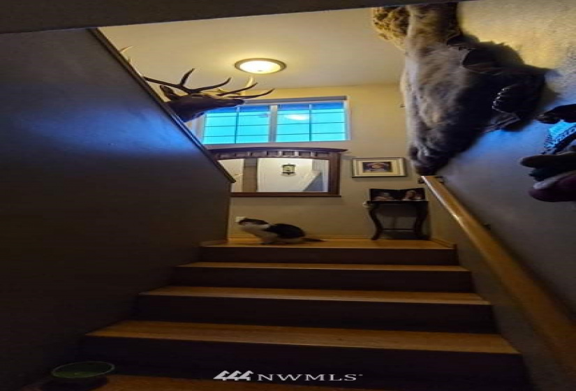 133 Peterman Hill, Morton, Washington 98356, 4 Bedrooms Bedrooms, ,2 BathroomsBathrooms,Residential,For Sale,Peterman Hill,NWM1884579