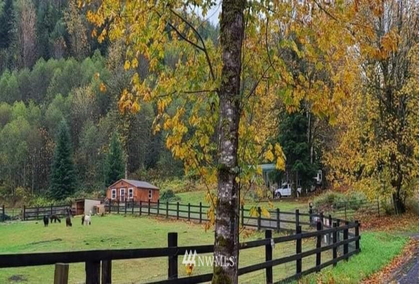 133 Peterman Hill, Morton, Washington 98356, 4 Bedrooms Bedrooms, ,2 BathroomsBathrooms,Residential,For Sale,Peterman Hill,NWM1884579