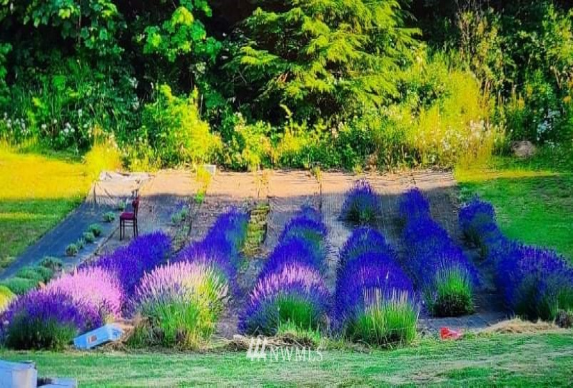 133 Peterman Hill, Morton, Washington 98356, 4 Bedrooms Bedrooms, ,2 BathroomsBathrooms,Residential,For Sale,Peterman Hill,NWM1884579