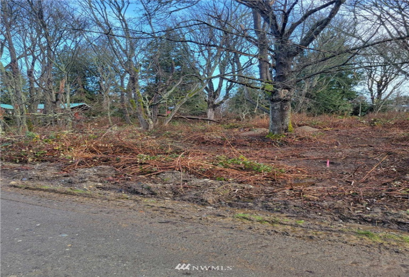 56 M Whidby Way, Hat Island, Washington 98201, ,Land,For Sale,M Whidby Way,NWM1884197