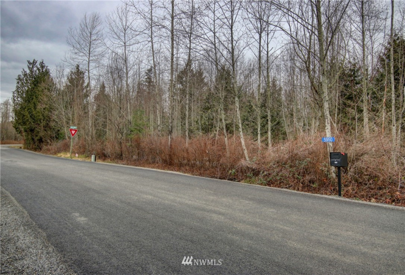 5950 Hoogdal Branch, Sedro Woolley, Washington 98284, ,Land,For Sale,95-022,Hoogdal Branch,NWM1884440