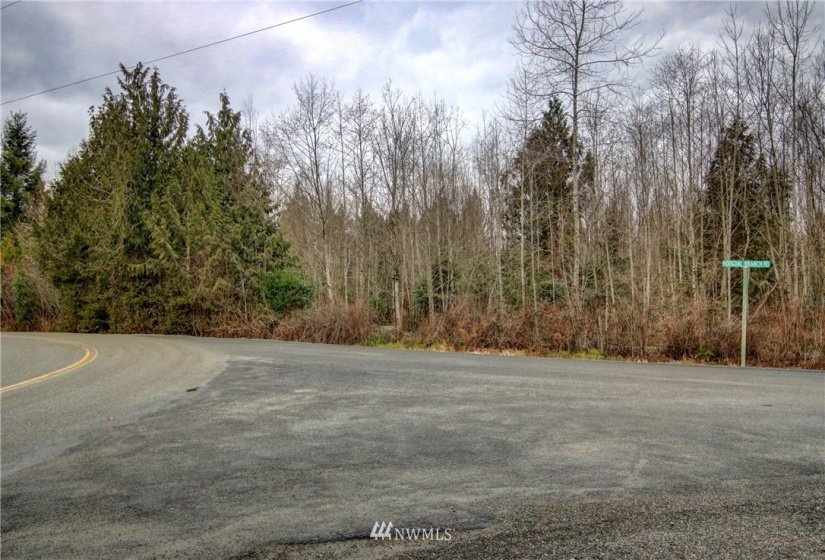 5950 Hoogdal Branch, Sedro Woolley, Washington 98284, ,Land,For Sale,95-022,Hoogdal Branch,NWM1884440